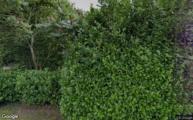 Street View Westelijke Doorsnee ZZ 13