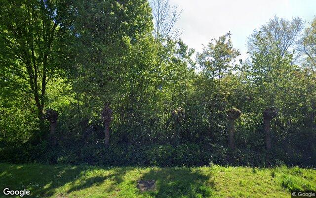 Street View Groene Velden 149