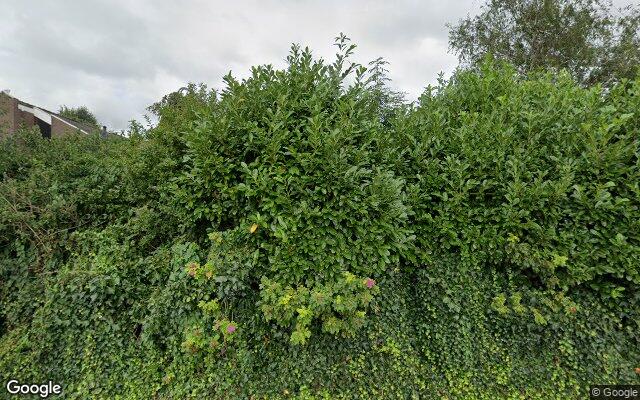 Street View Rijndijk 278