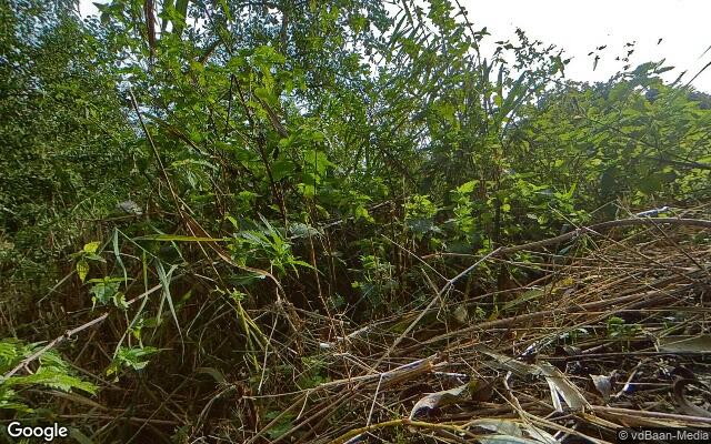 Street View Spookverlaat 11