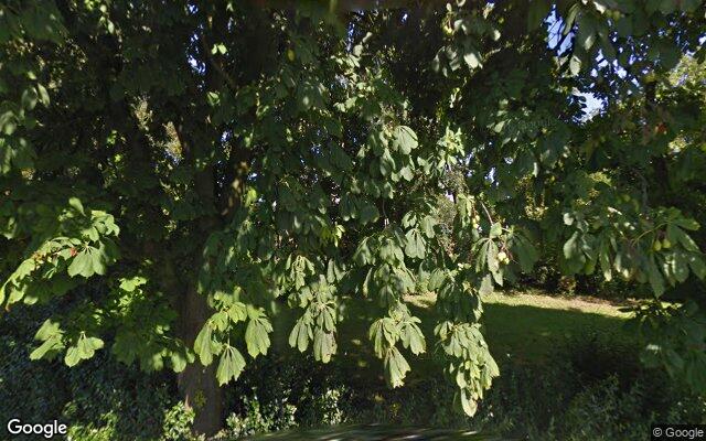 Street View ten Katestraat 34