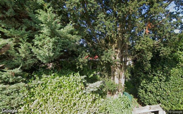 Street View Bilderdijklaan 3