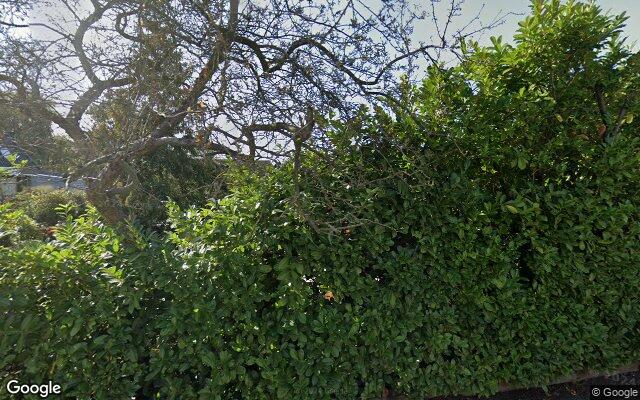 Street View Jacob Reviusstraat 5