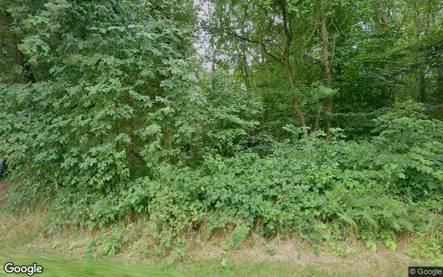 Street View Bosrand 30