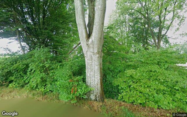 Street View Juliana Bernhardweg 7