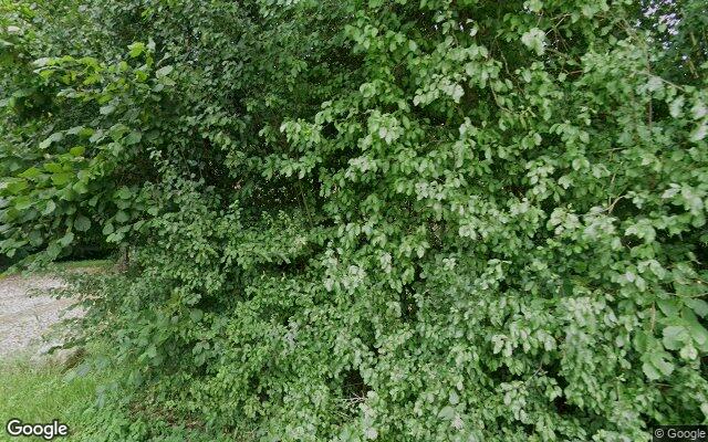 Street View Leggeloo 41