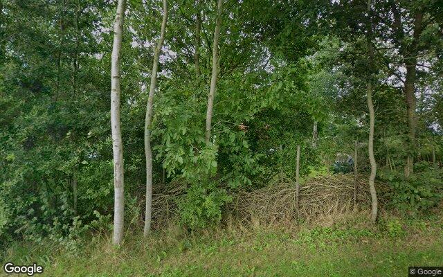 Street View Drift 10