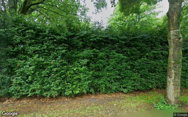 Street View Tolweg 27