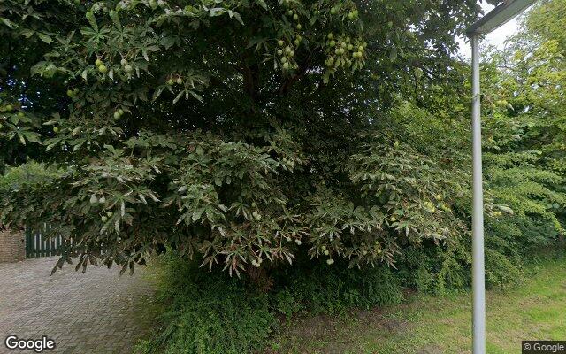 Street View Mooie Vrouwenweg 45
