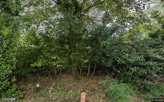 Street View Alexandrinalaan 13