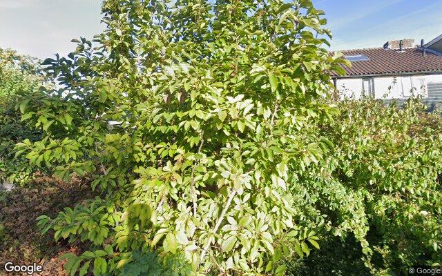 Street View Zaagmolenpad 8