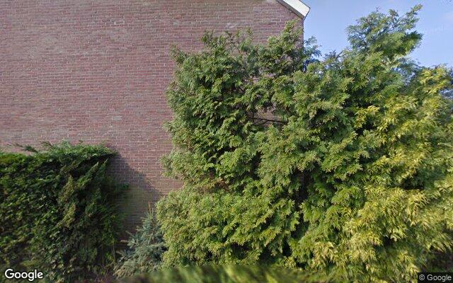 Street View Hazeveld 36