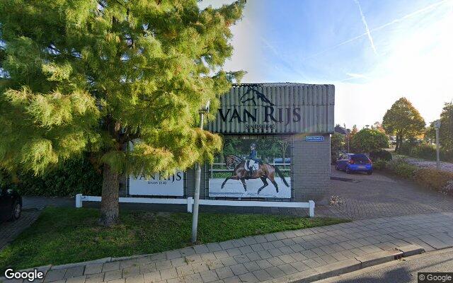 Street View Potgietersingel 1