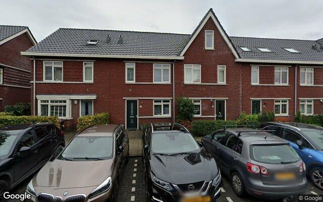 Street View Kraagroos 20