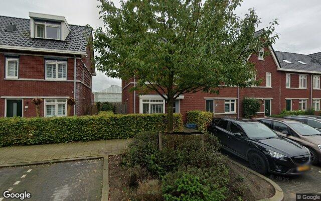 Street View Kraagroos 22