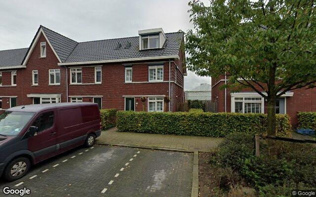 Street View Kraagroos 24