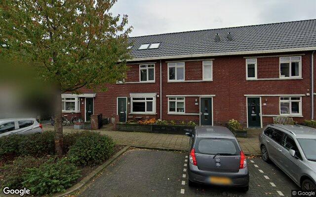 Street View Kraagroos 36