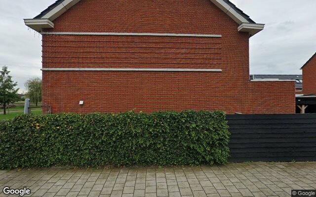 Street View Kraagroos 25