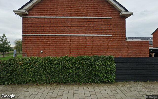 Street View Kraagroos 29