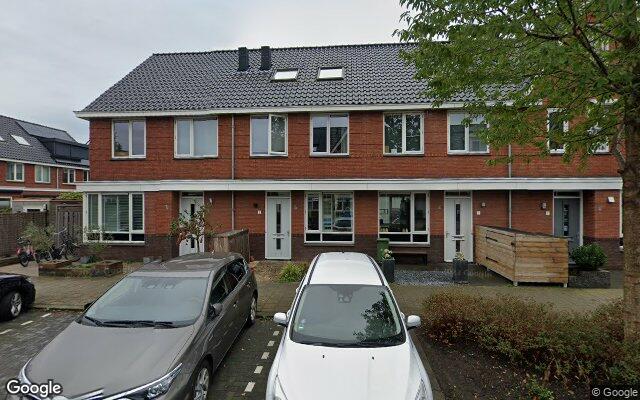 Street View Kraagroos 3