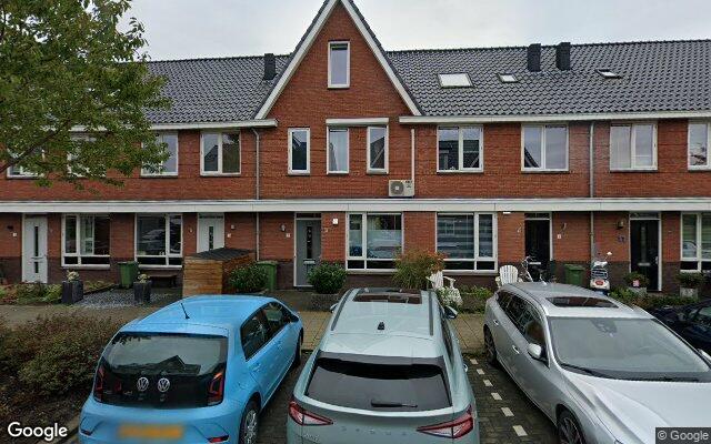 Street View Kraagroos 7