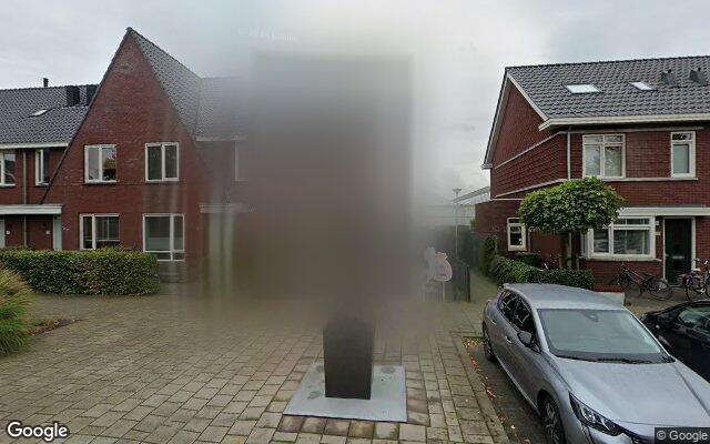 Street View Kraagroos 40