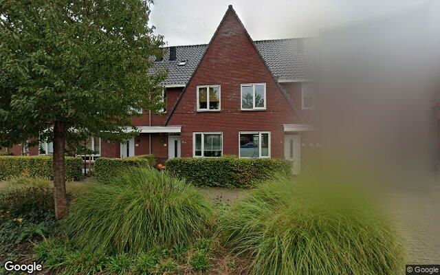 Street View Kraagroos 44