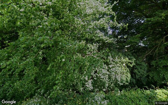 Street View Hamdijk 31