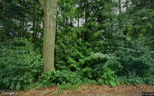 Street View Provincialeweg 158