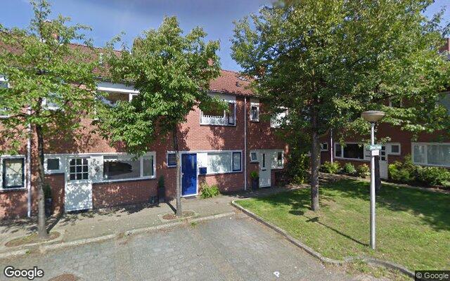 Street View Zilverschoon 220