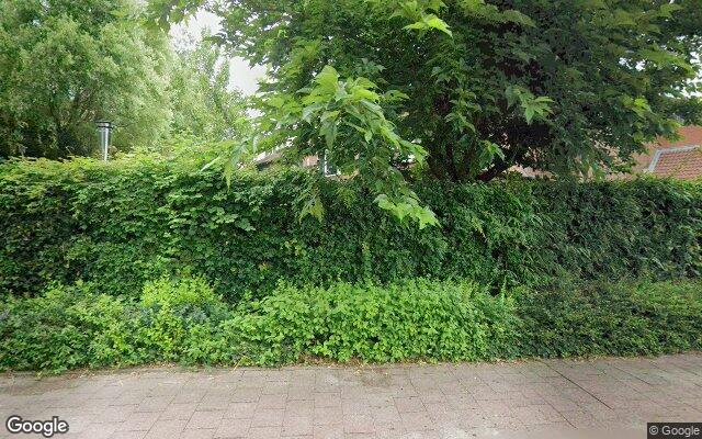 Street View Zilverschoon 234