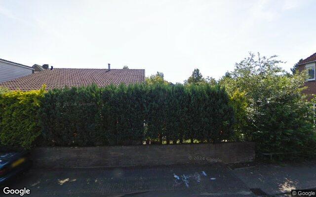 Street View Zilverschoon 250