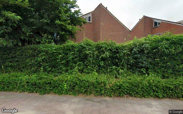 Street View Zilverschoon 238