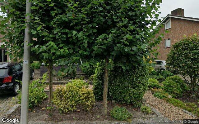 Street View Zilverschoon 137
