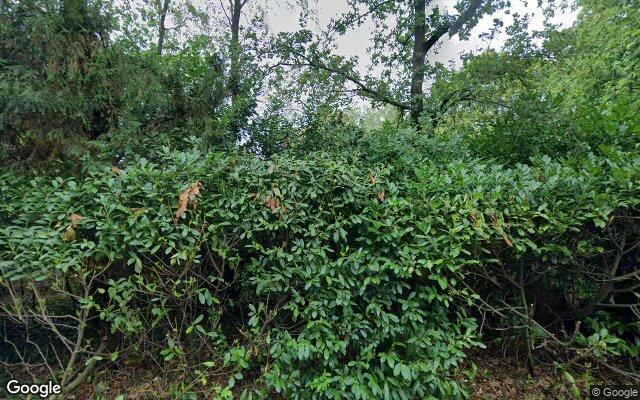 Street View Meijerinksberg 29