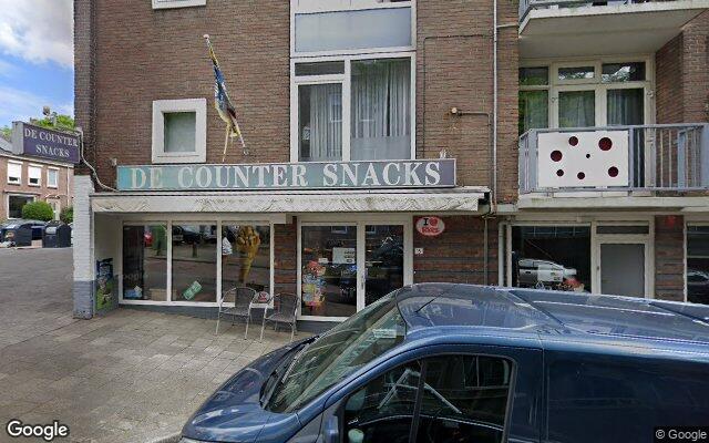 Street View Leeuwensteinplein 8