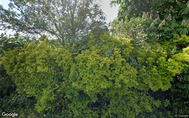 Street View Beijerdstraat 7