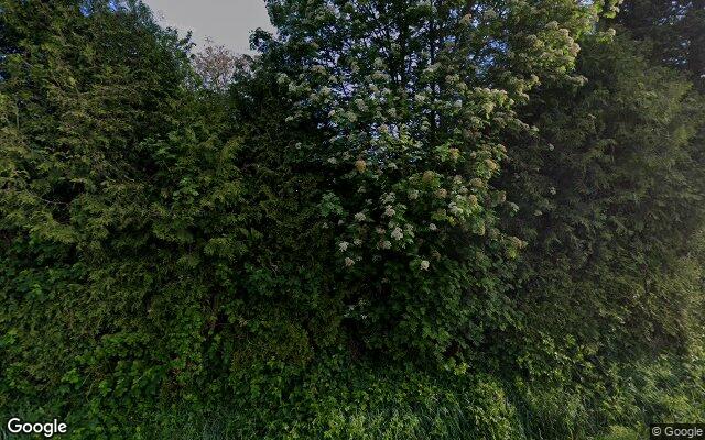 Street View Ruitenbeekweg 19