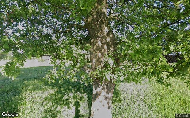 Street View Ruitenbeekweg 45