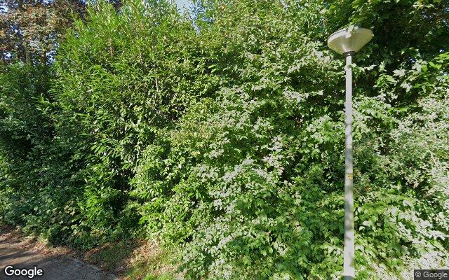 Street View Otwardplaats 7