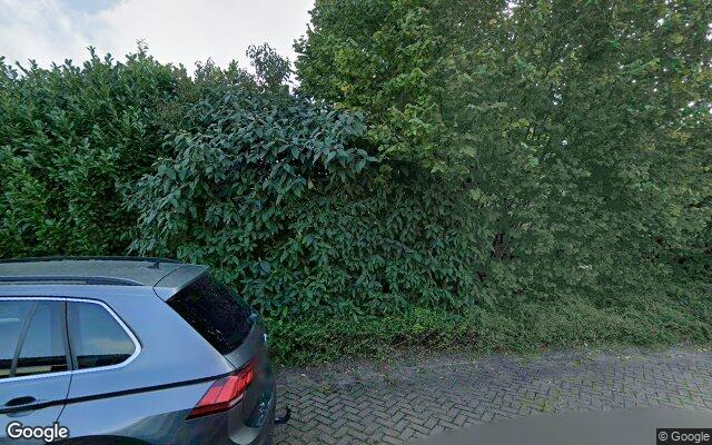Street View Populierenhoek 11