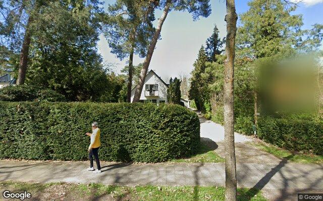 Street View Julianalaan 137