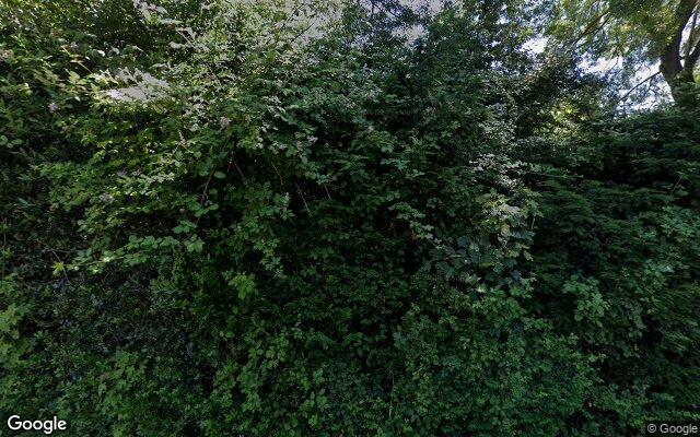 Street View Asschatterweg 119