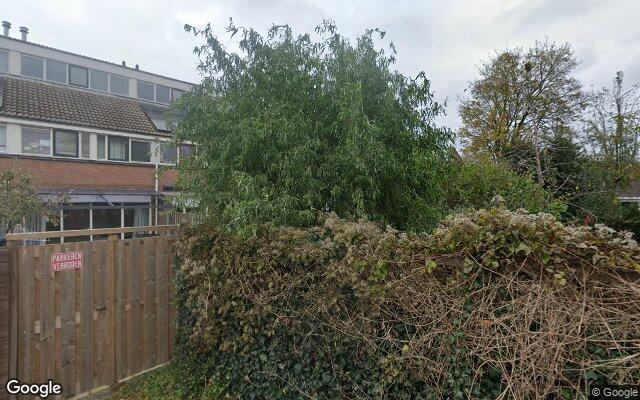 Street View Kamelenspoor 189