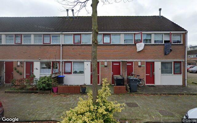 Street View Kamelenspoor 163