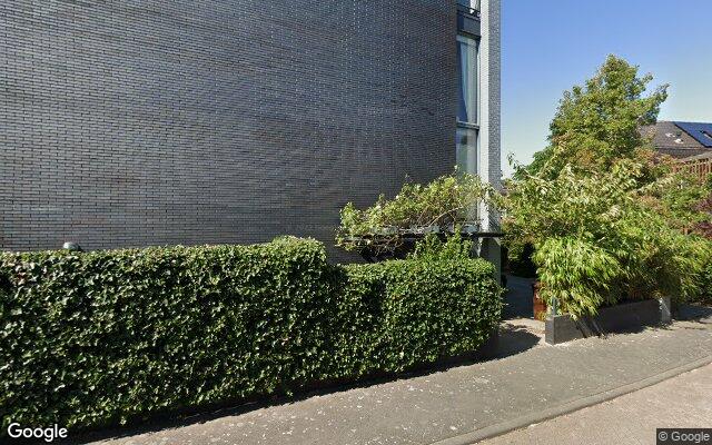 Street View Parelmoervlinder 2