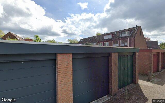 Street View Muurzwaluw 23