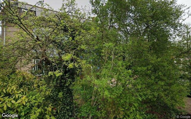 Street View Van Duurenlaan 8