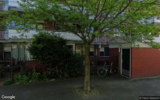 Street View Vingerhoedskruid 16