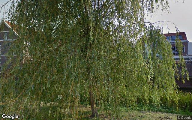 Street View Saenredamstraat 95